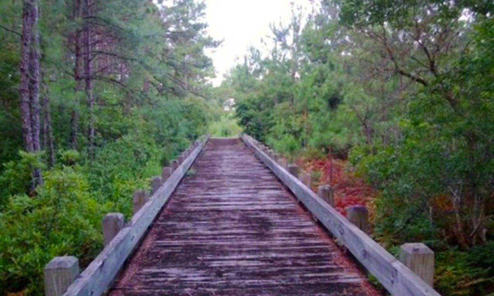 10 Miles of Trails