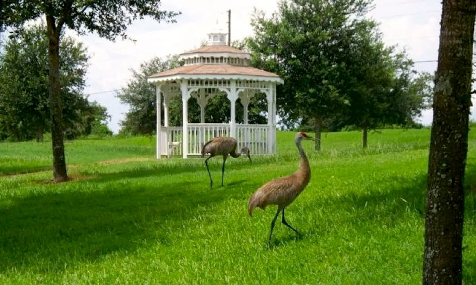 Gazebo