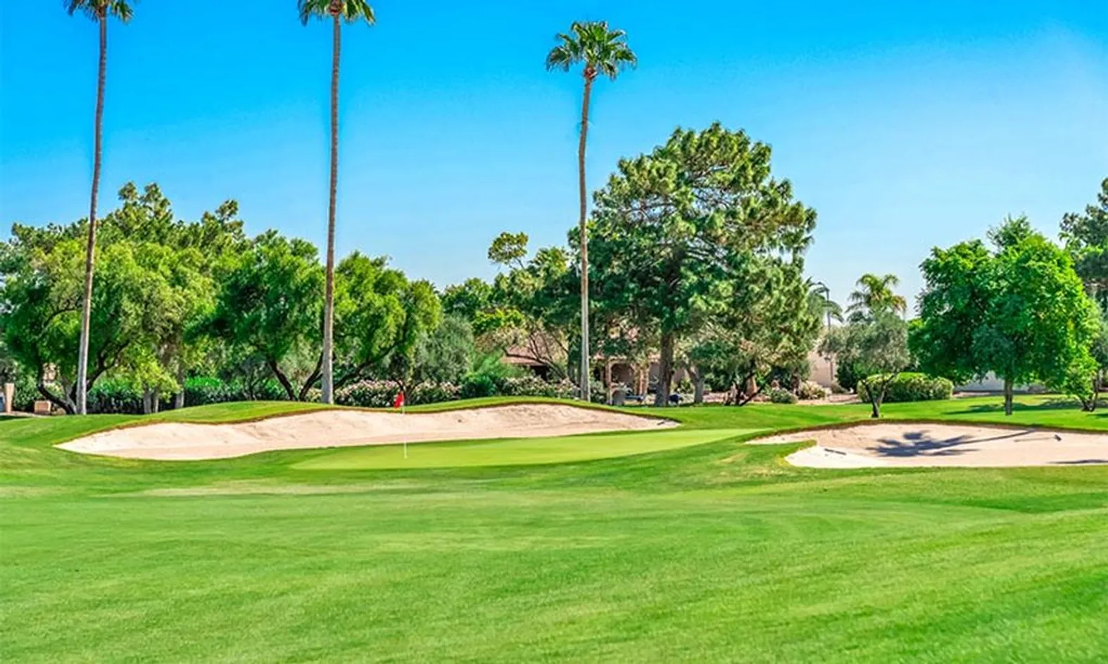 9 Golf Courses