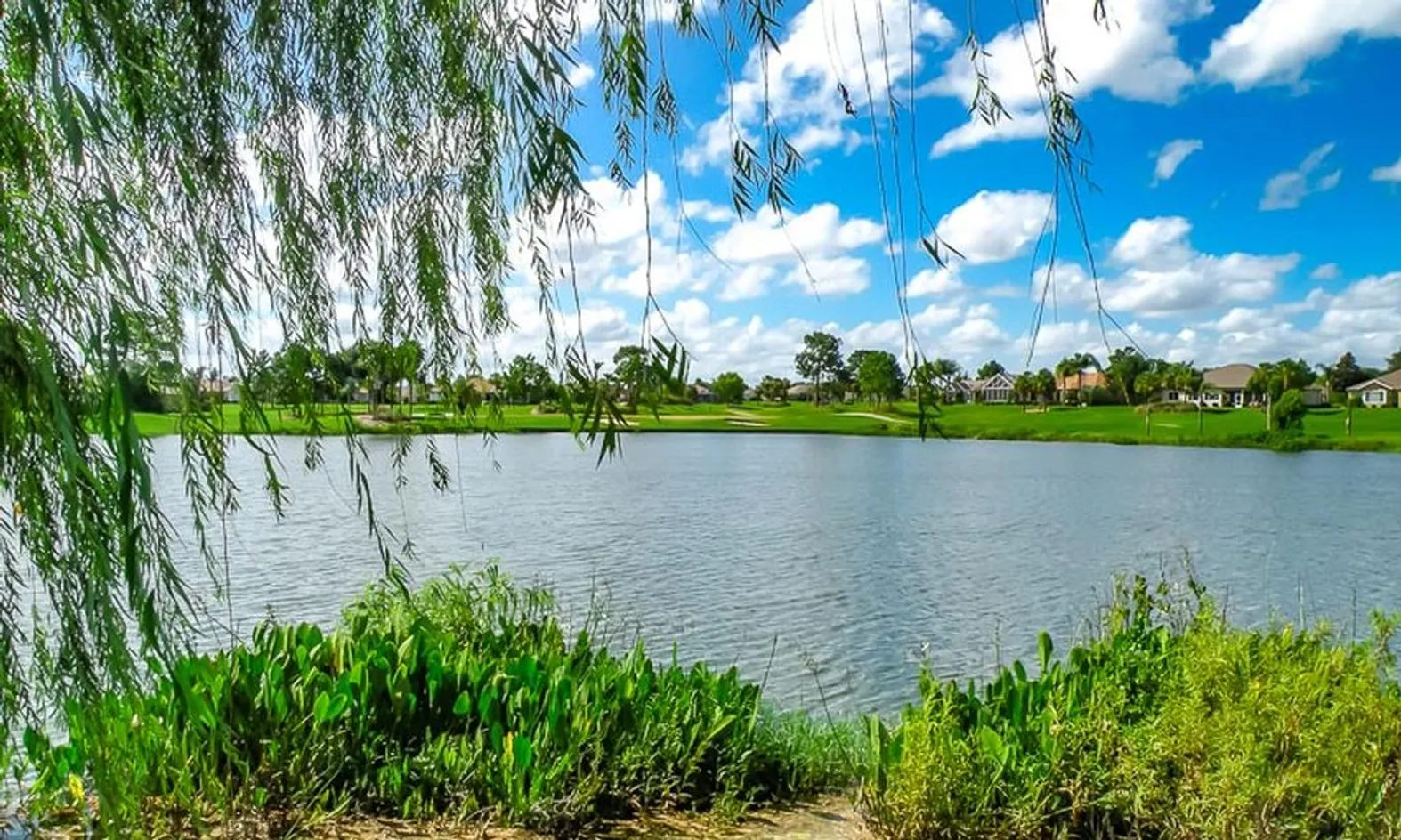 Ponds