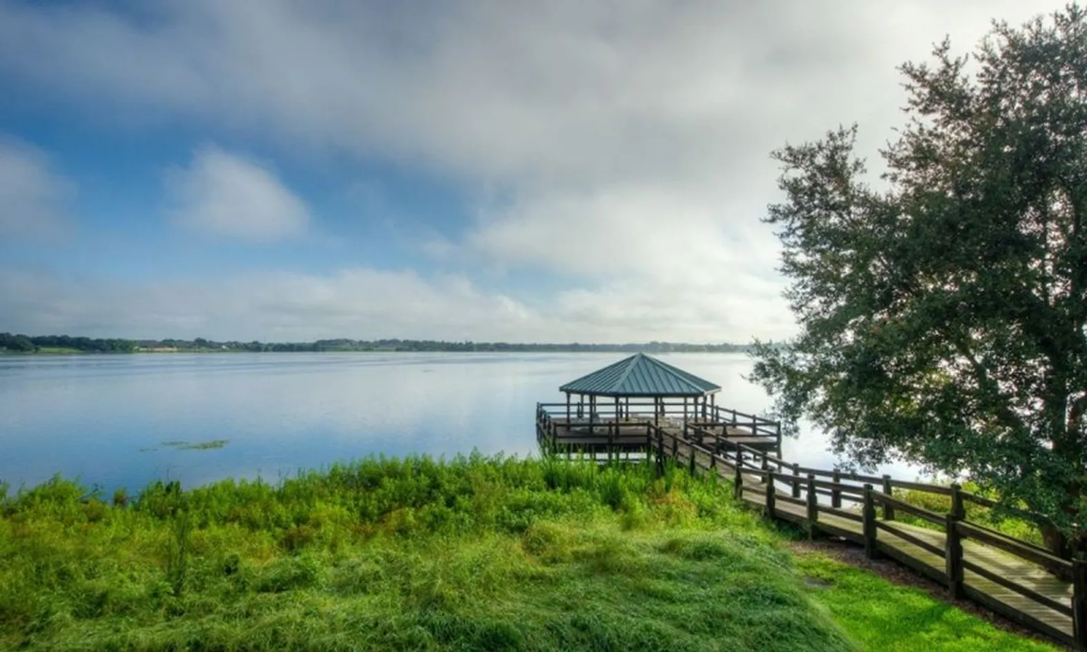 Water Views
