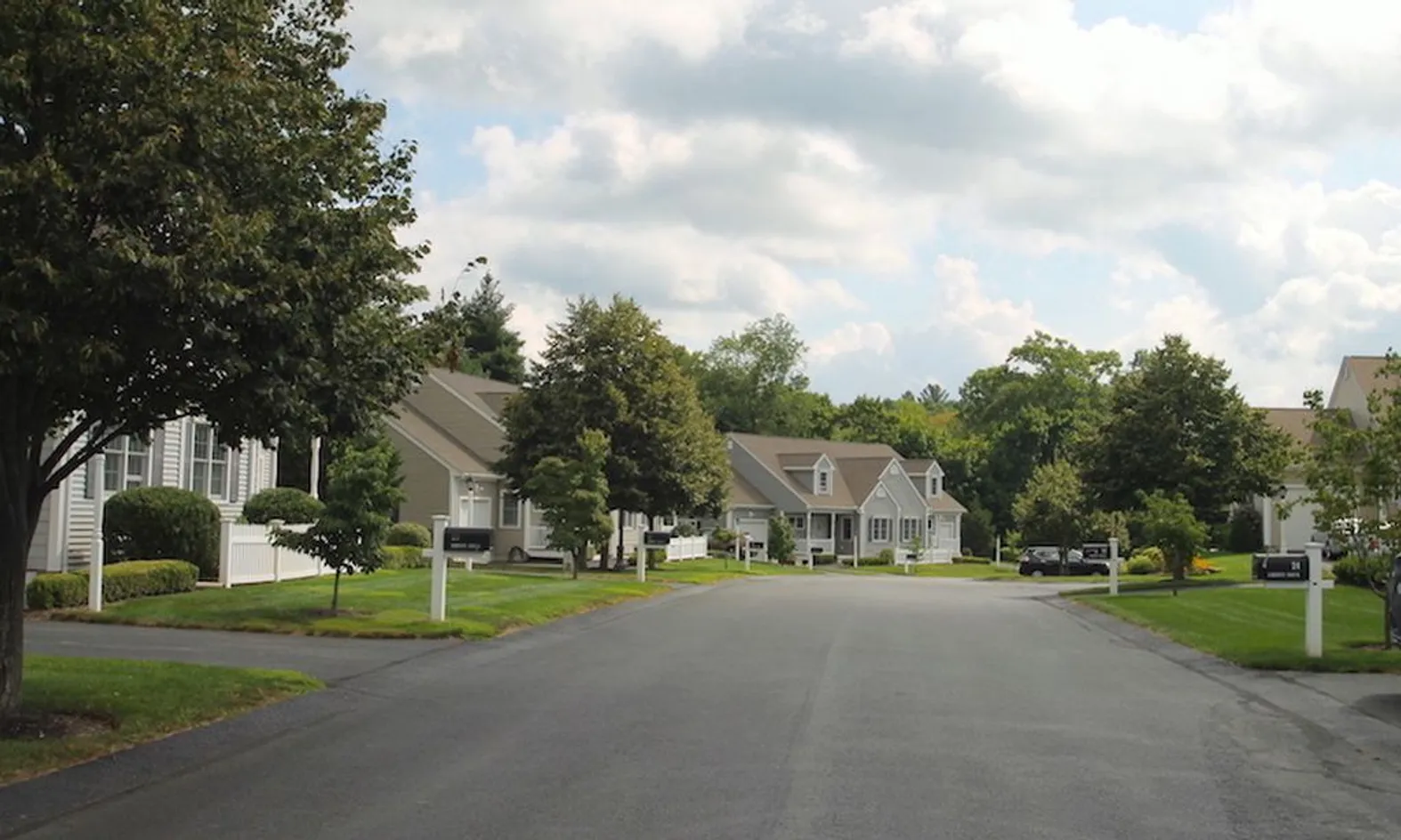 44 Attached Homes