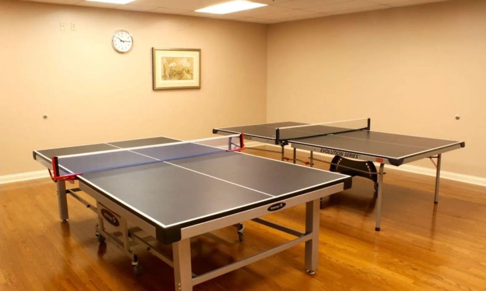 Table Tennis