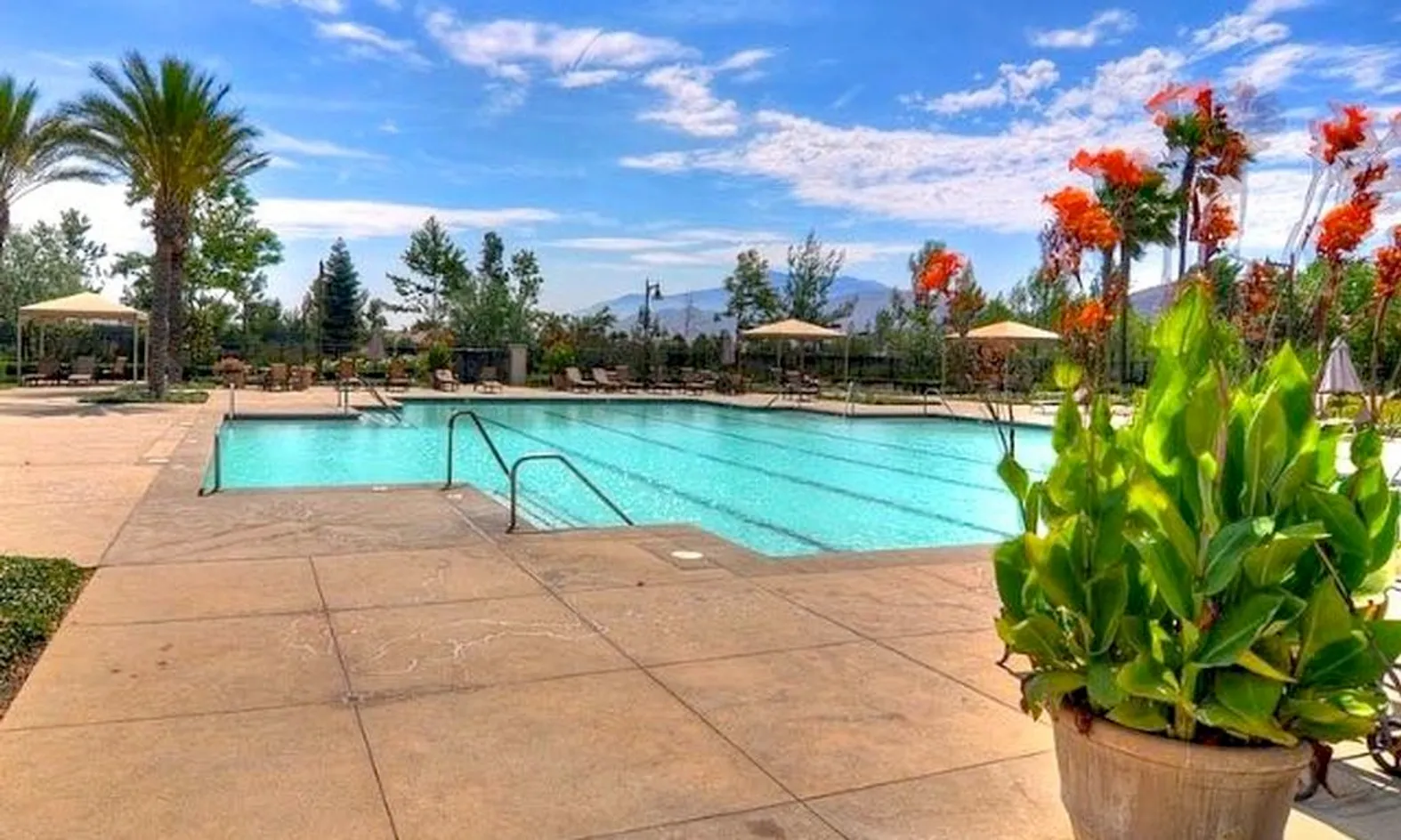 Resort-Style Outdoor Pool