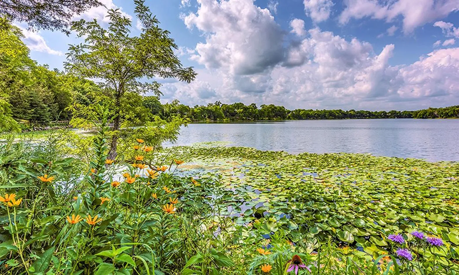 Scenic Lake