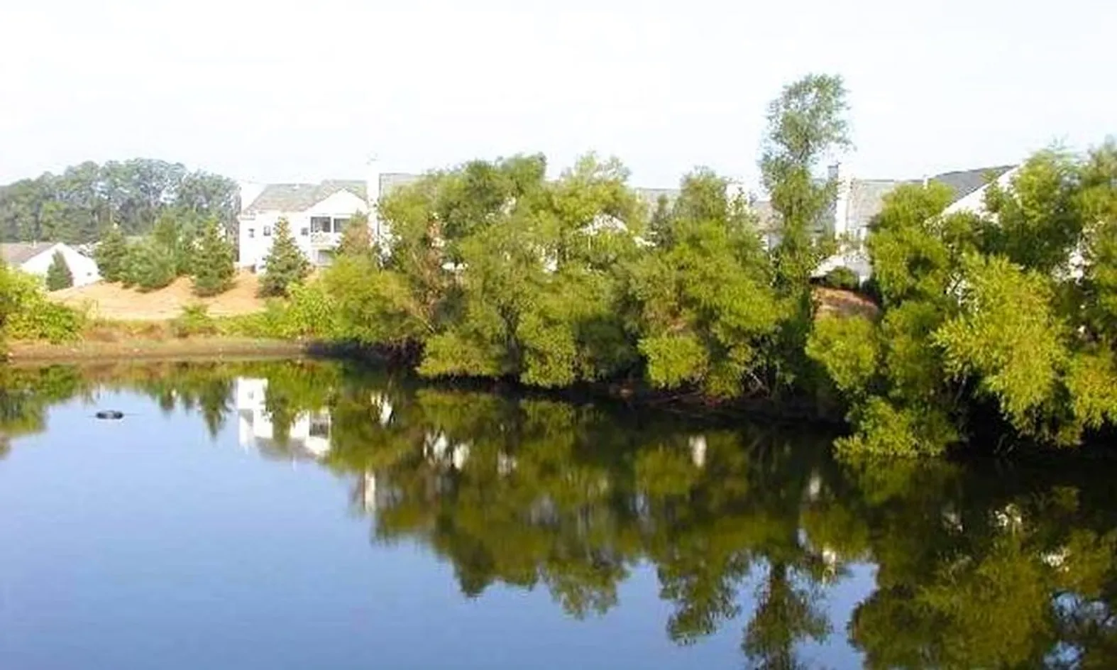 Scenic Lakes & Ponds
