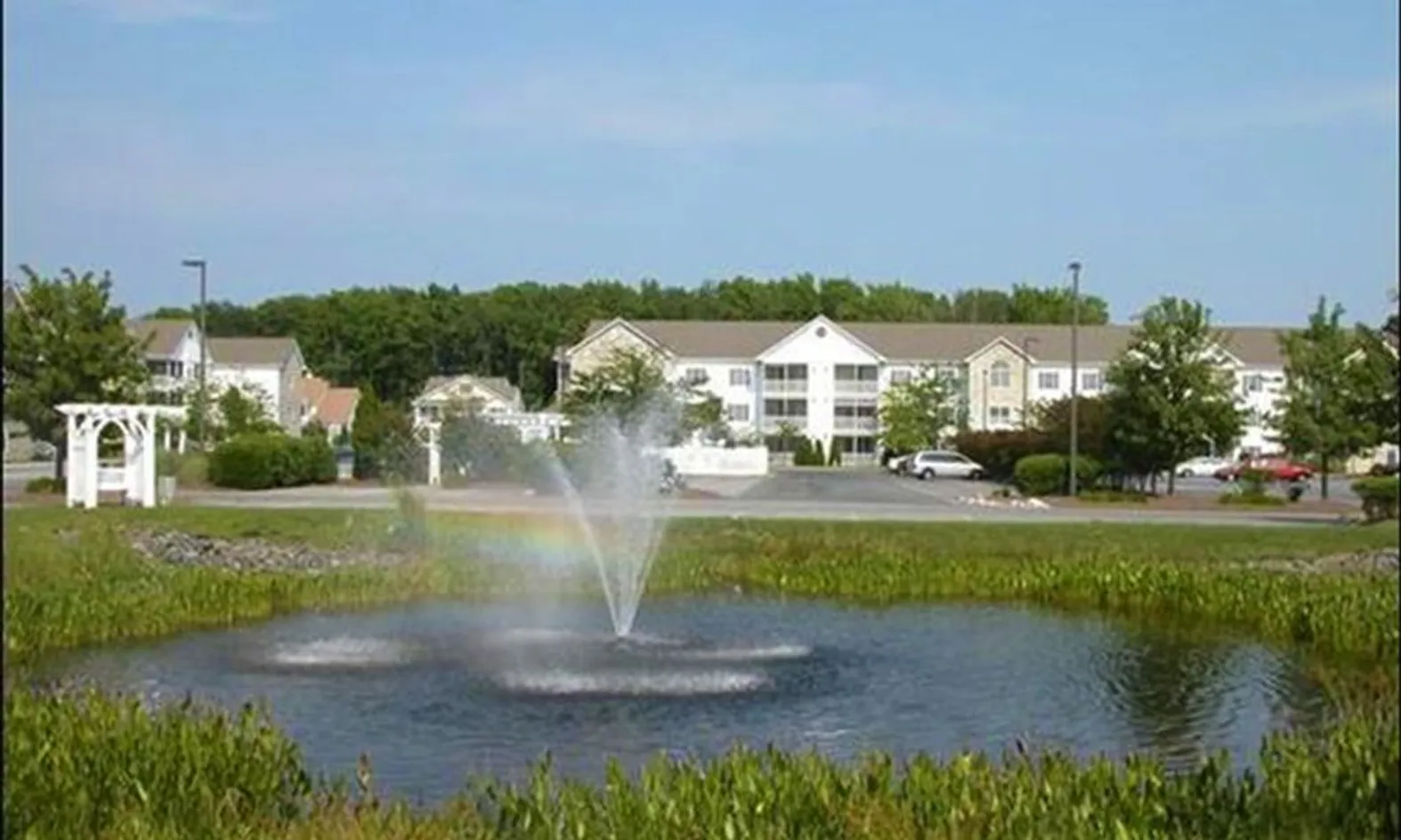 Scenic Pond