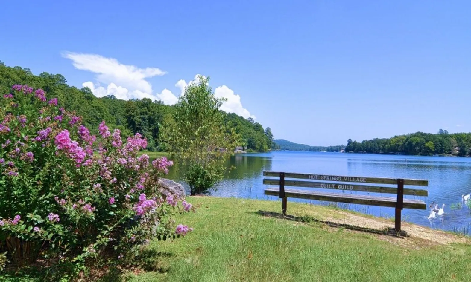 11 Lakes