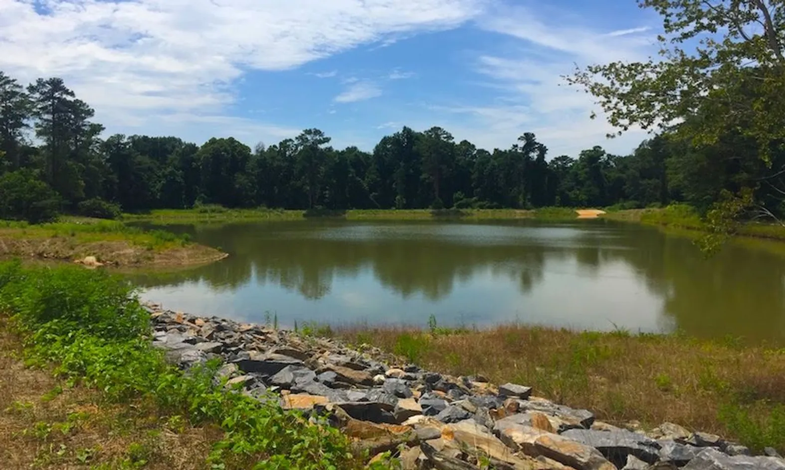 Recreational Lake