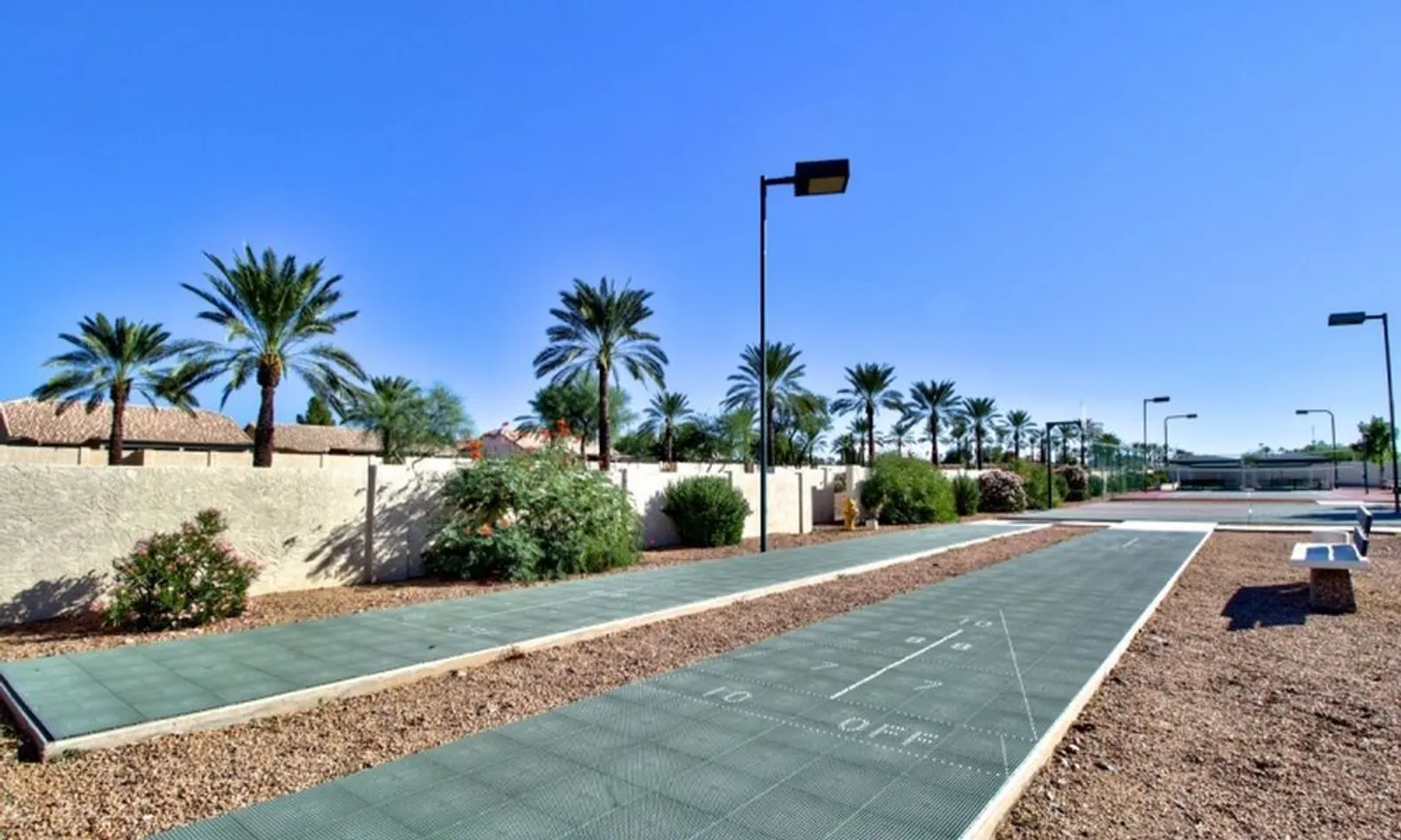 Shuffleboard Courts