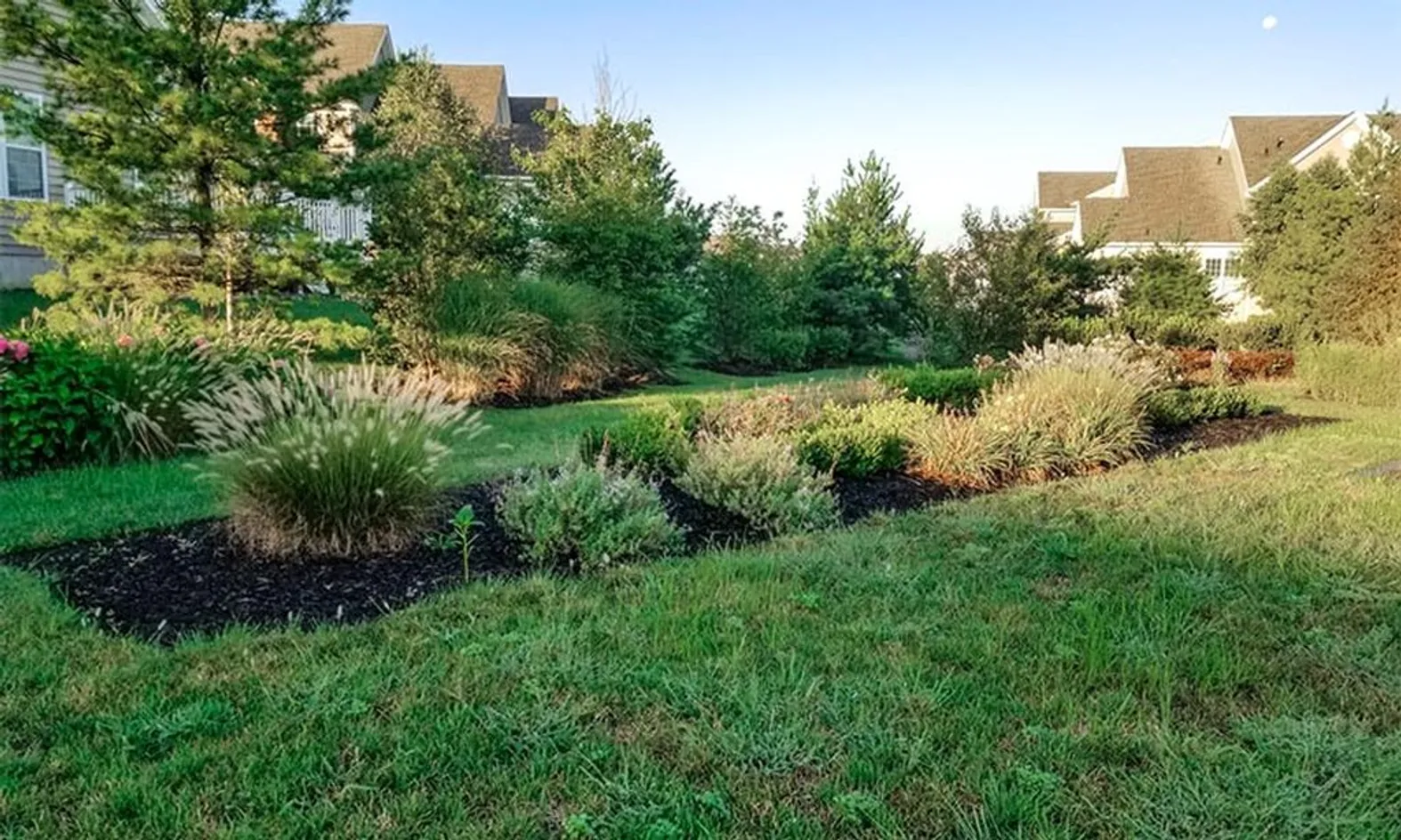 Park & Garden Area