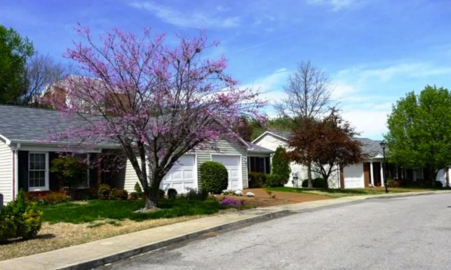 Single-Level Living