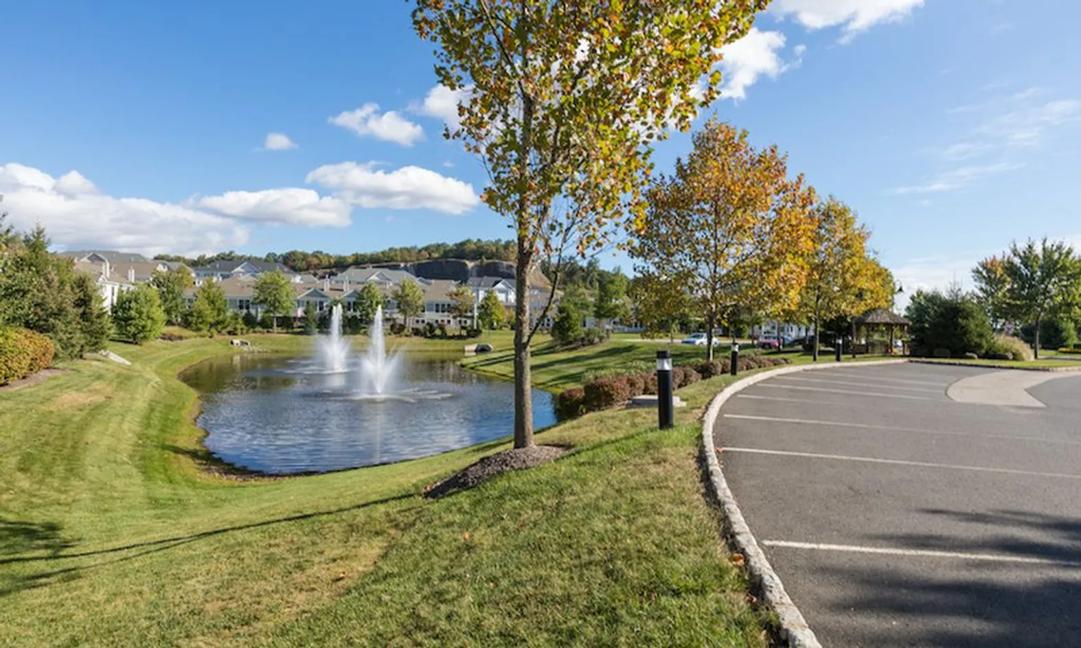 Scenic Pond
