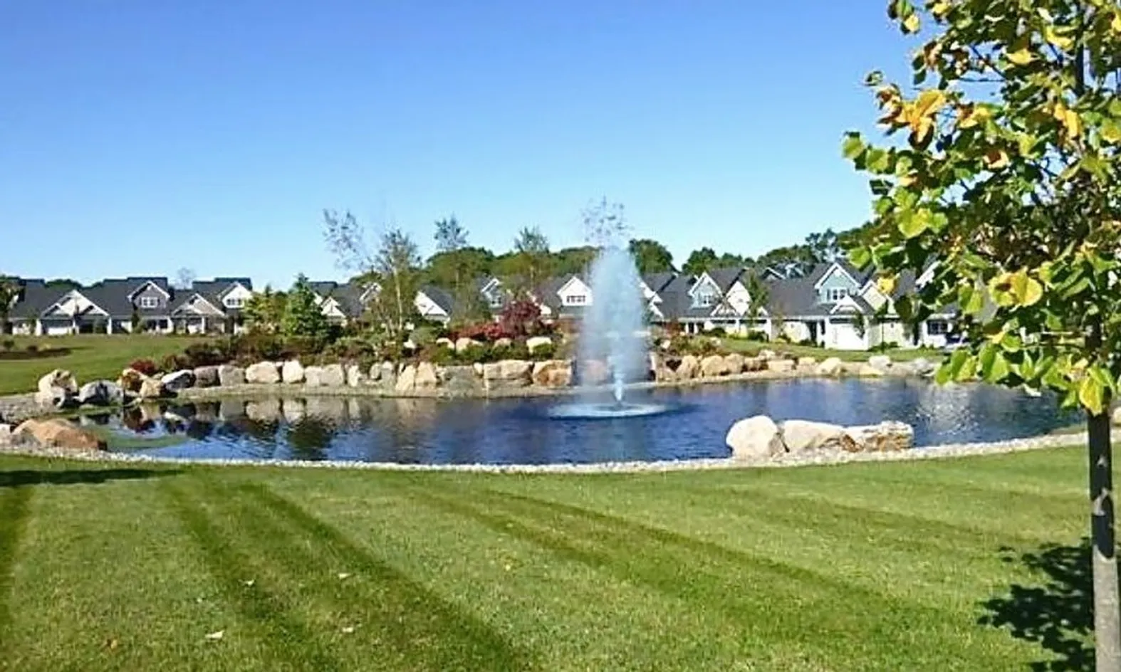 Scenic Ponds