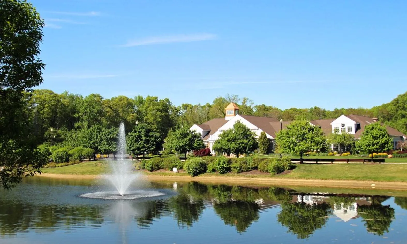 Scenic Ponds