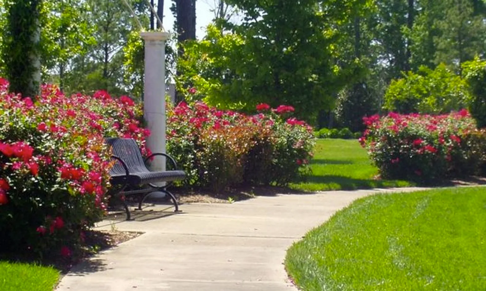 Scenic Walking Paths