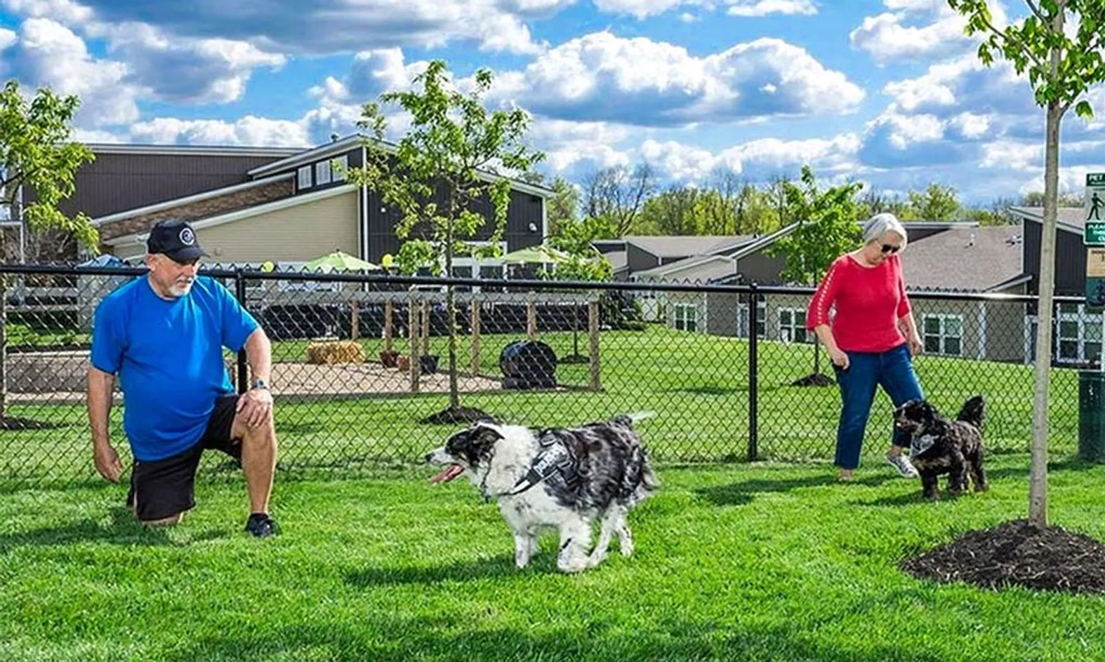 Dog Park
