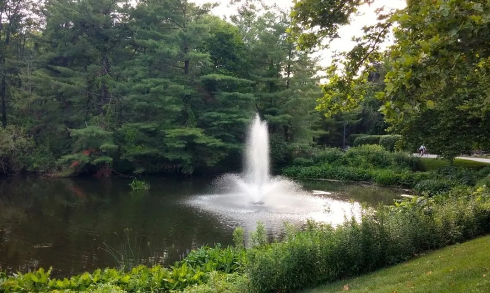 Scenic Lakes & Ponds