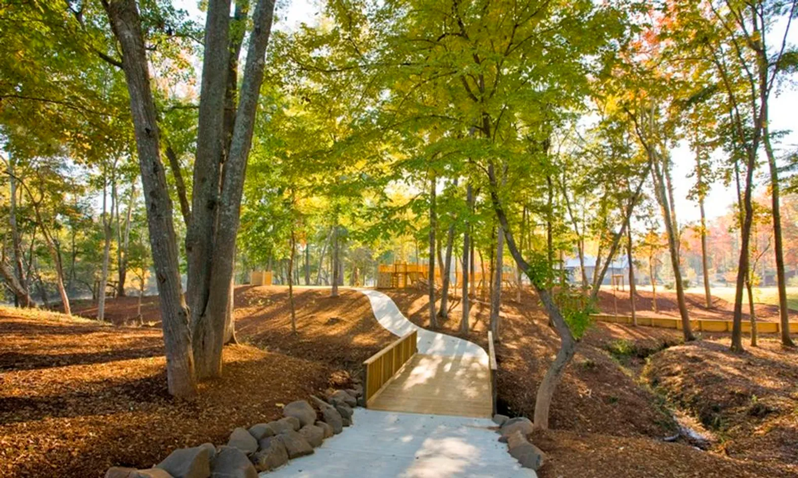 Beautiful Natural Space