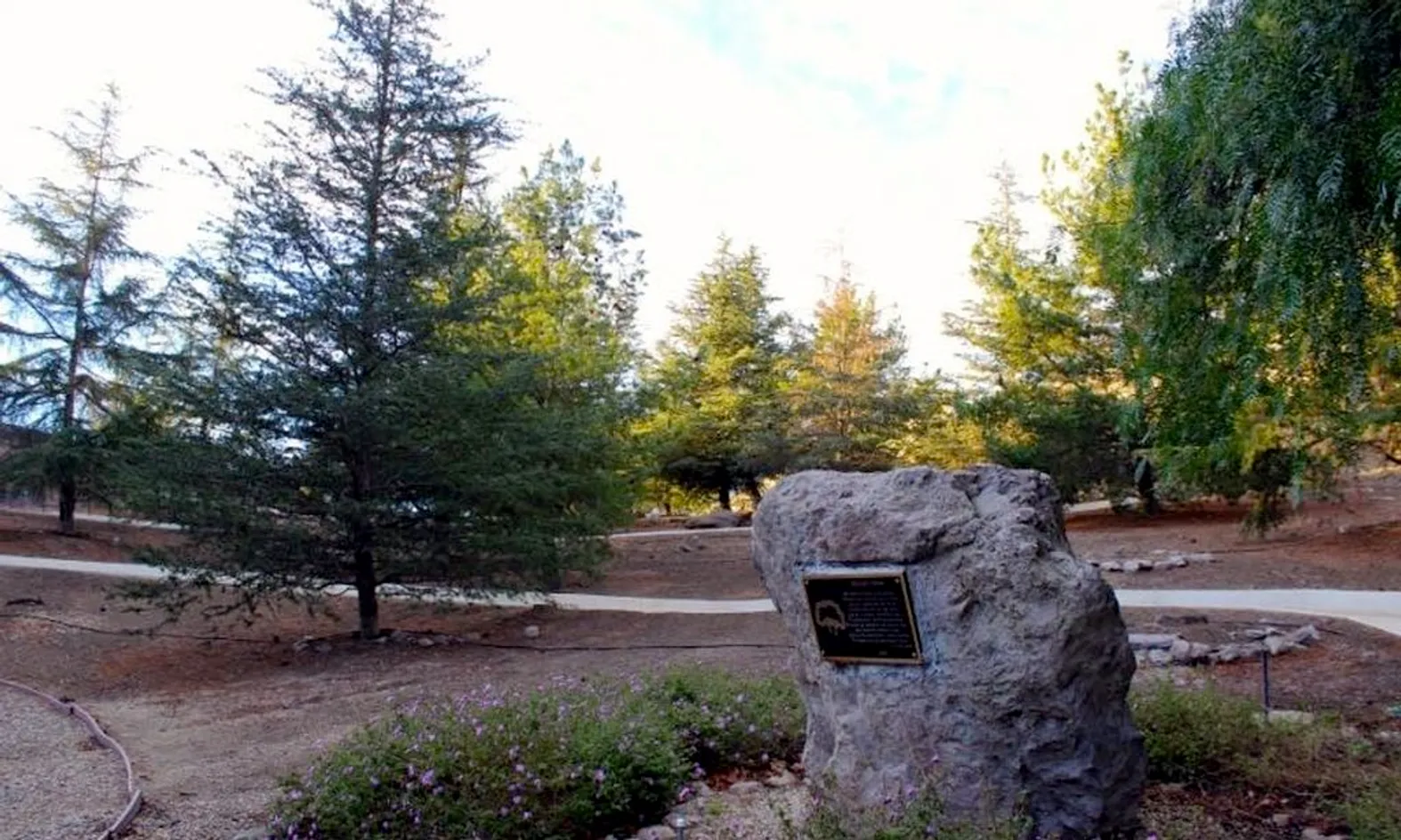 Walking & Biking Trails