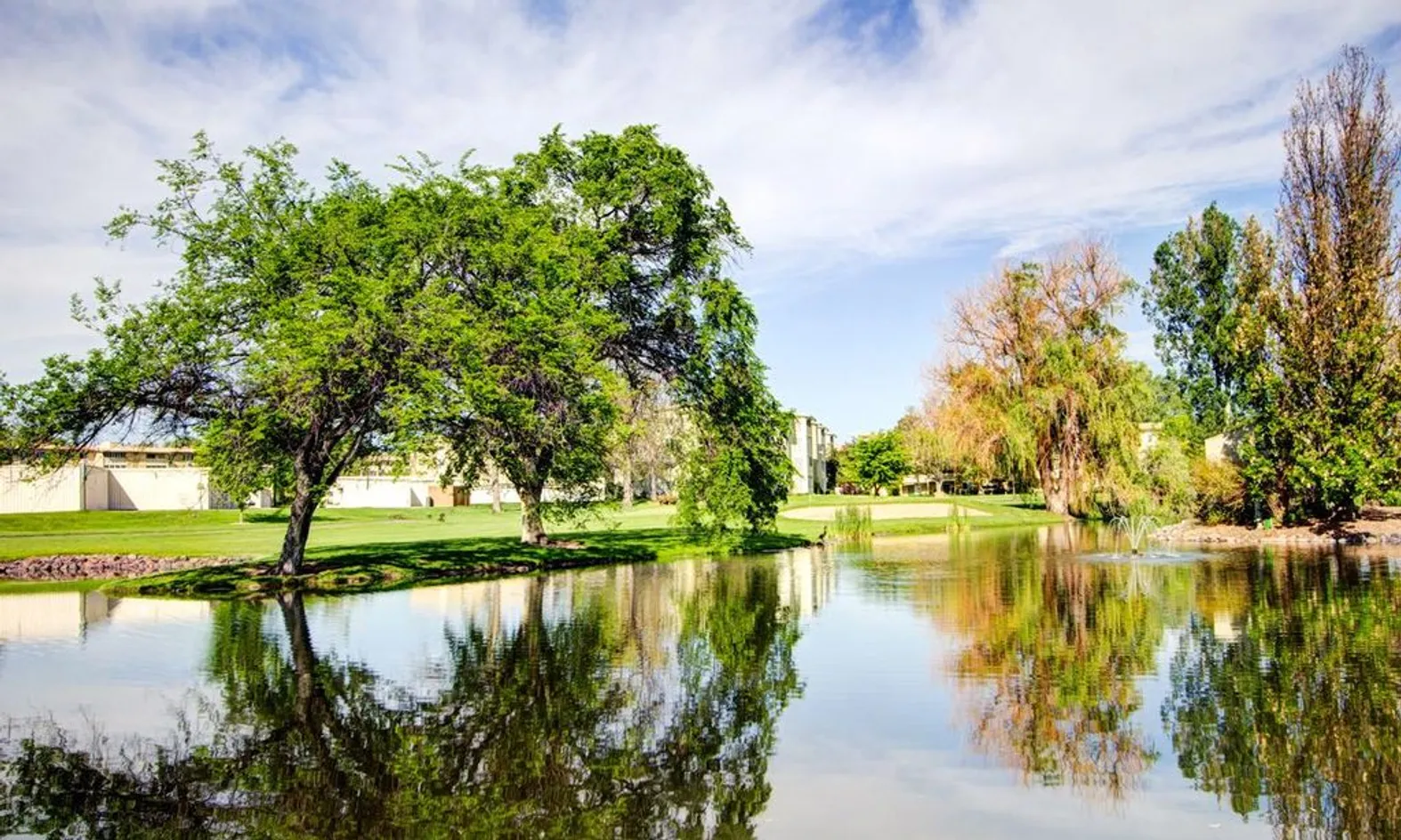 Scenic Pond