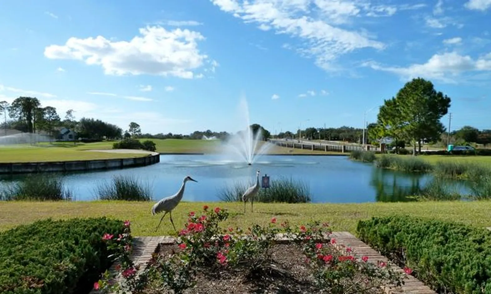 Scenic Ponds