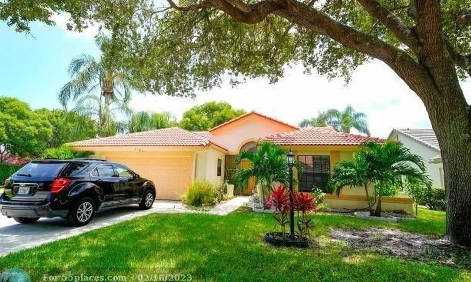 Palm Shores