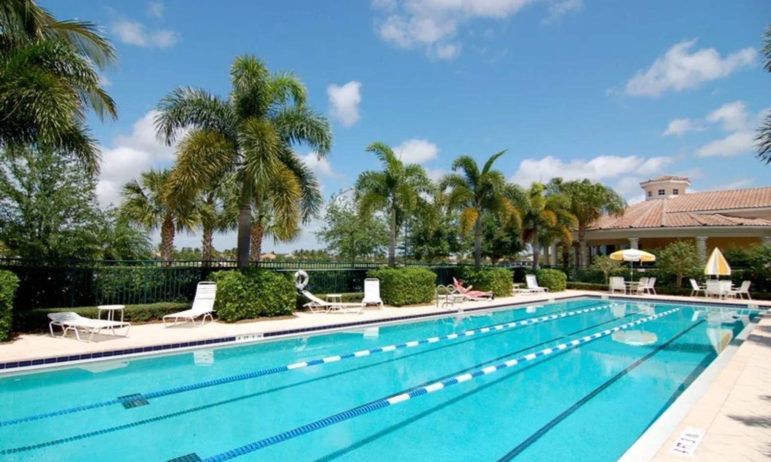 Outdoor Lap Pool