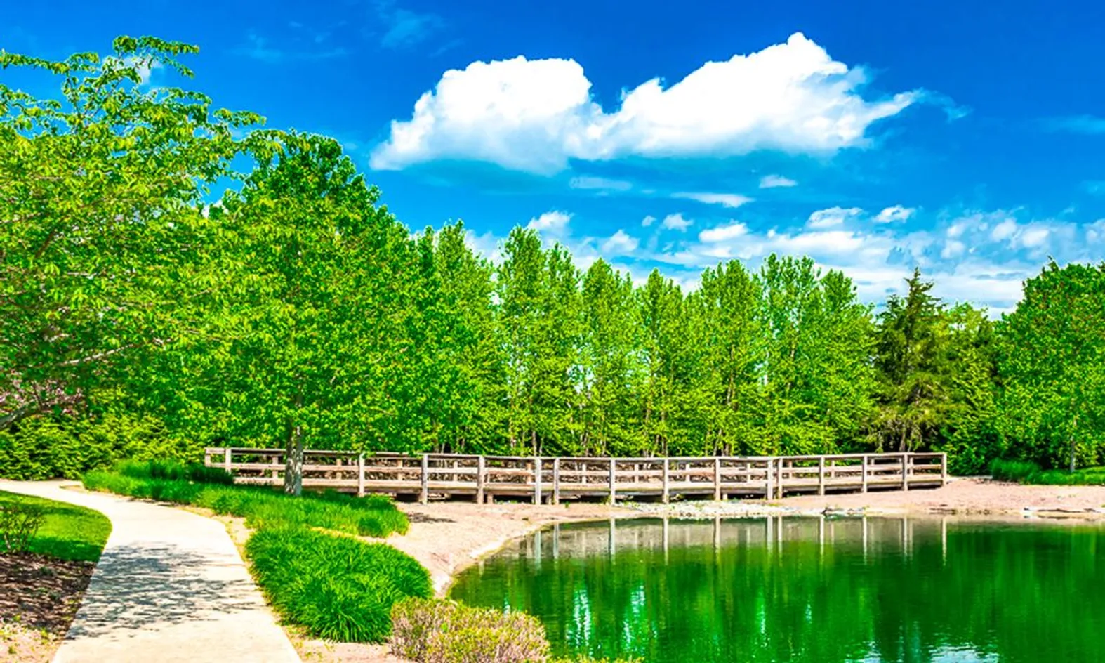 Bridge Path