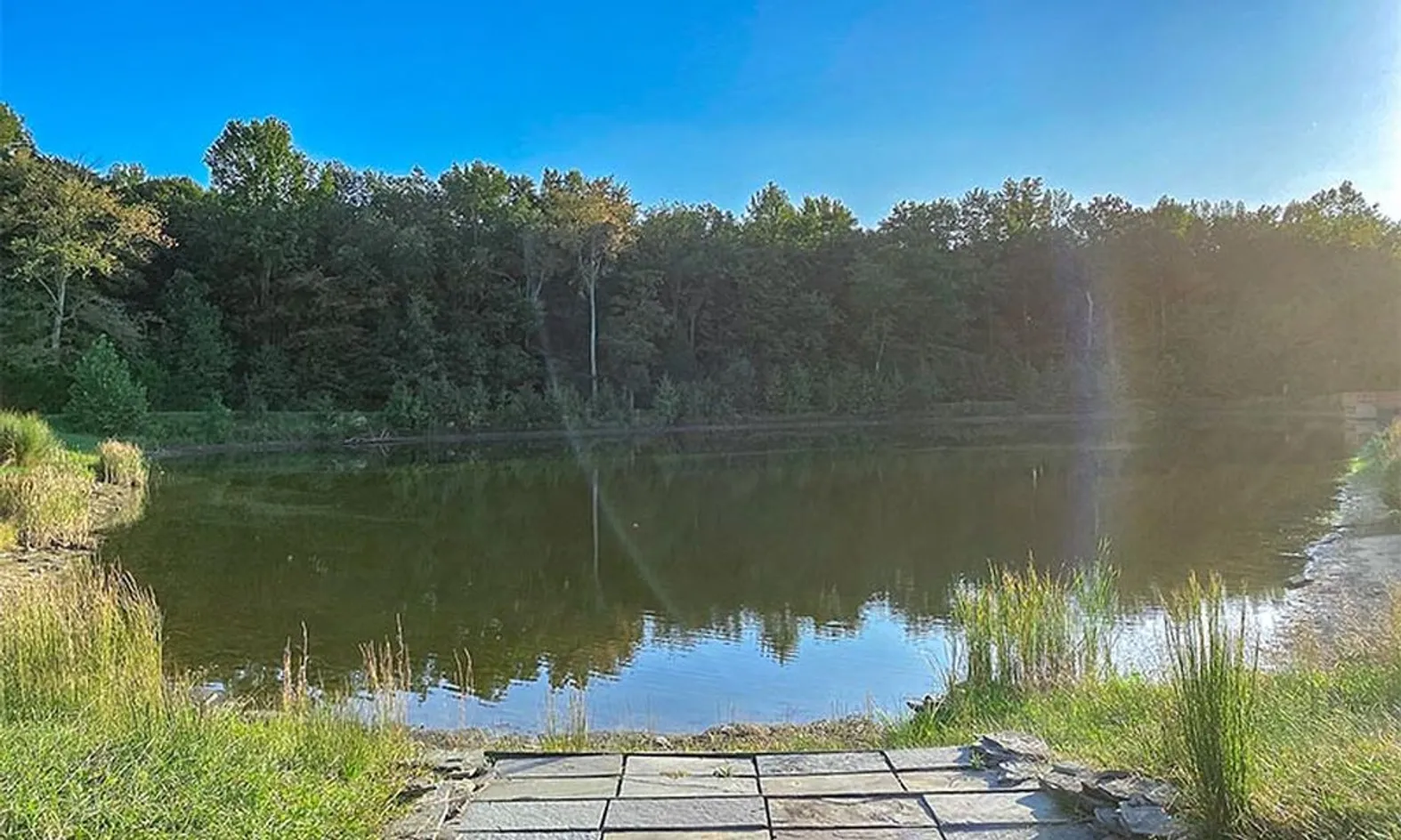 Scenic Pond
