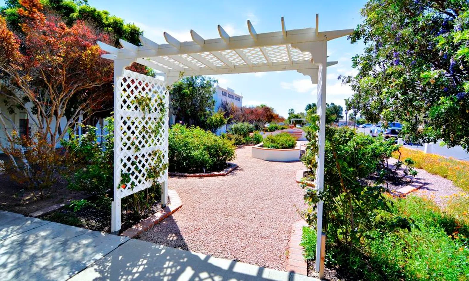 Rose Garden