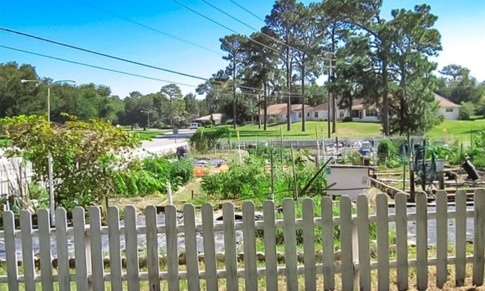 Garden