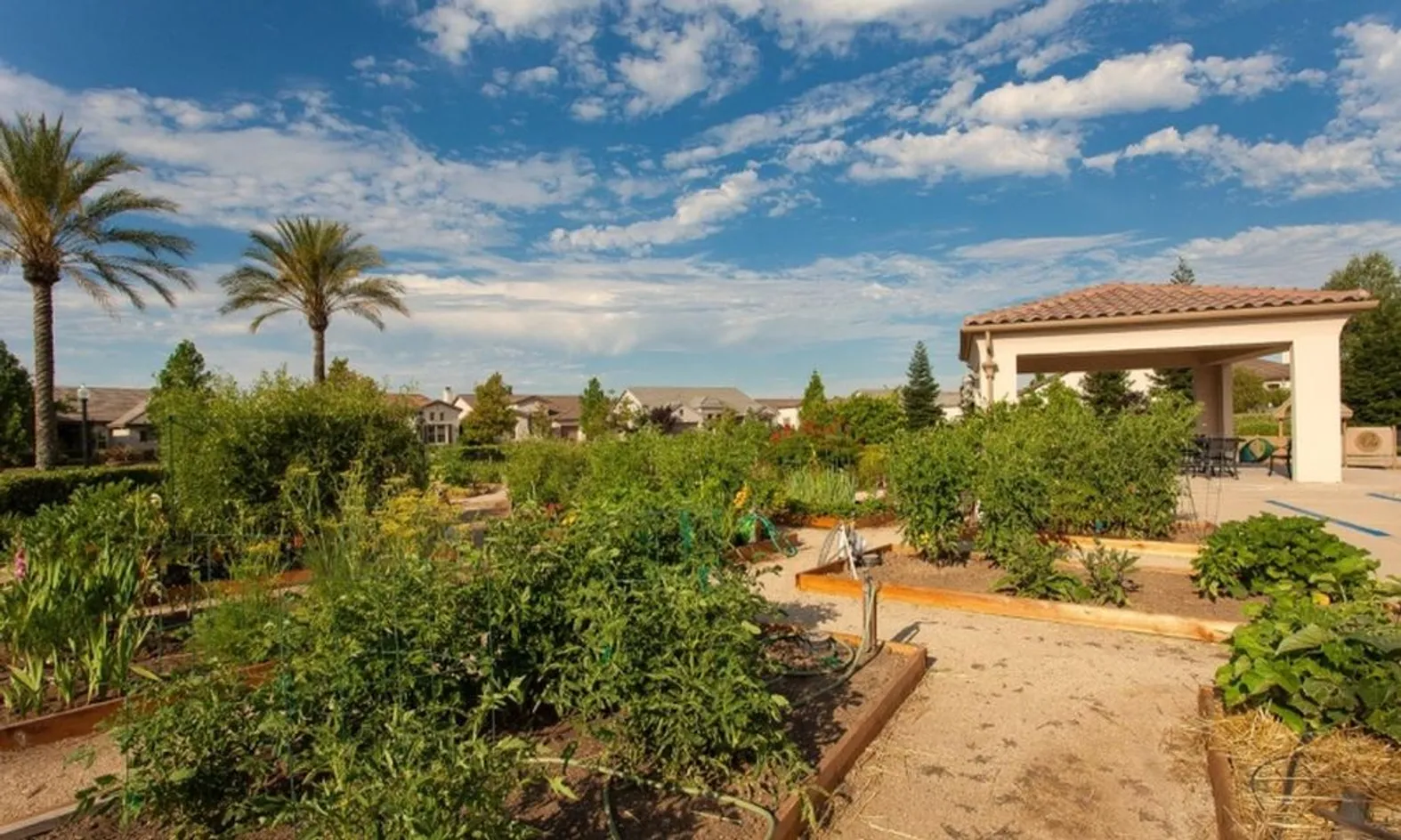 Community Garden
