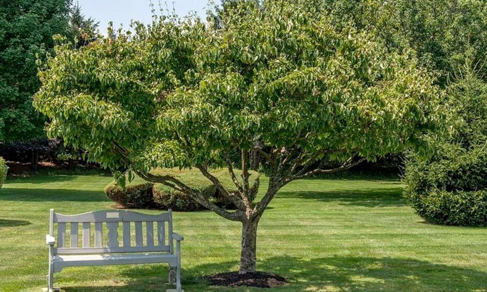 Parks & Natural Space