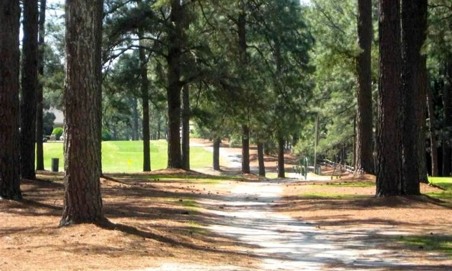 Wooded Trails