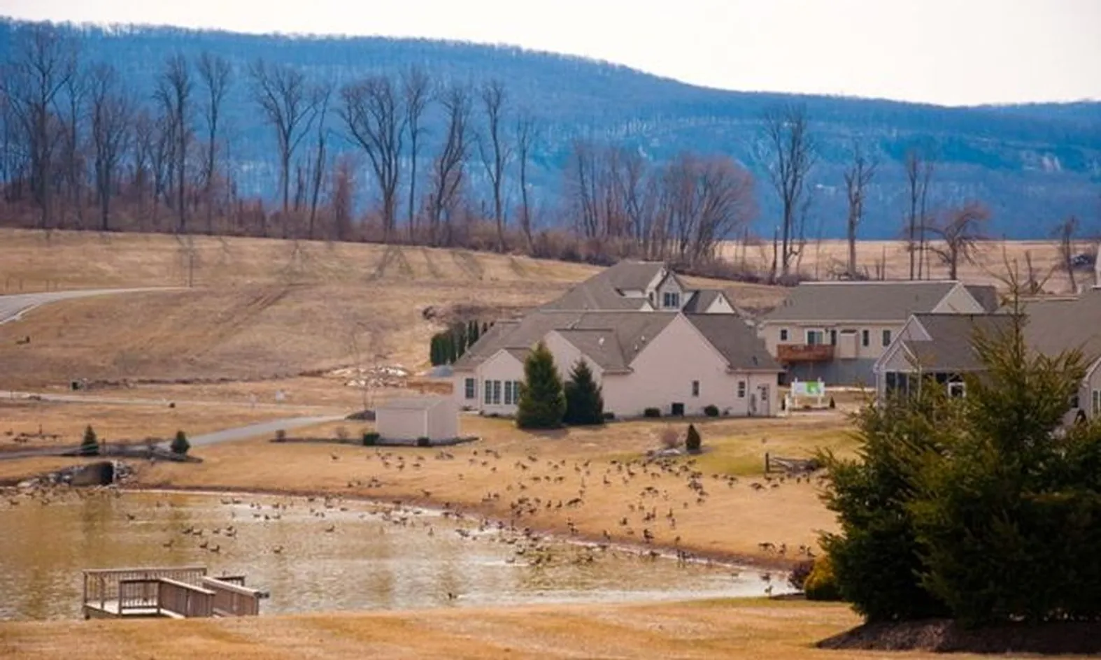 Scenic Pond