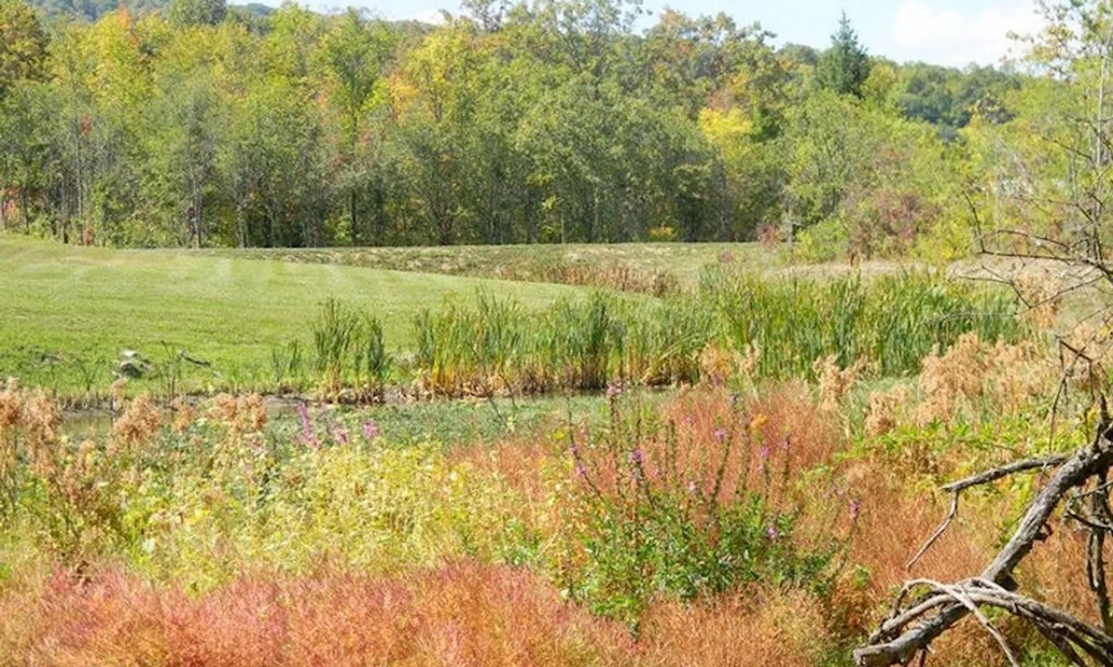 Parks and Natural Space