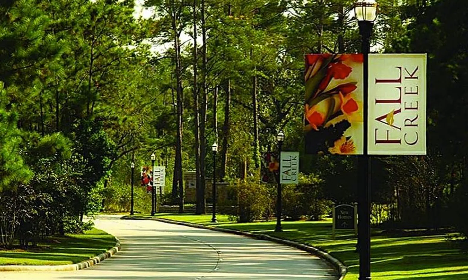 Tree-Lined Streets