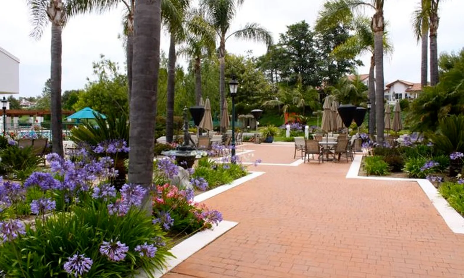 Elegant Landscaping
