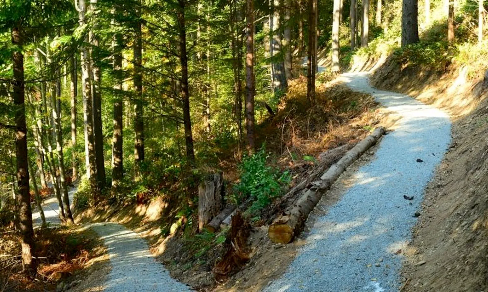 Walking & Hiking Trails