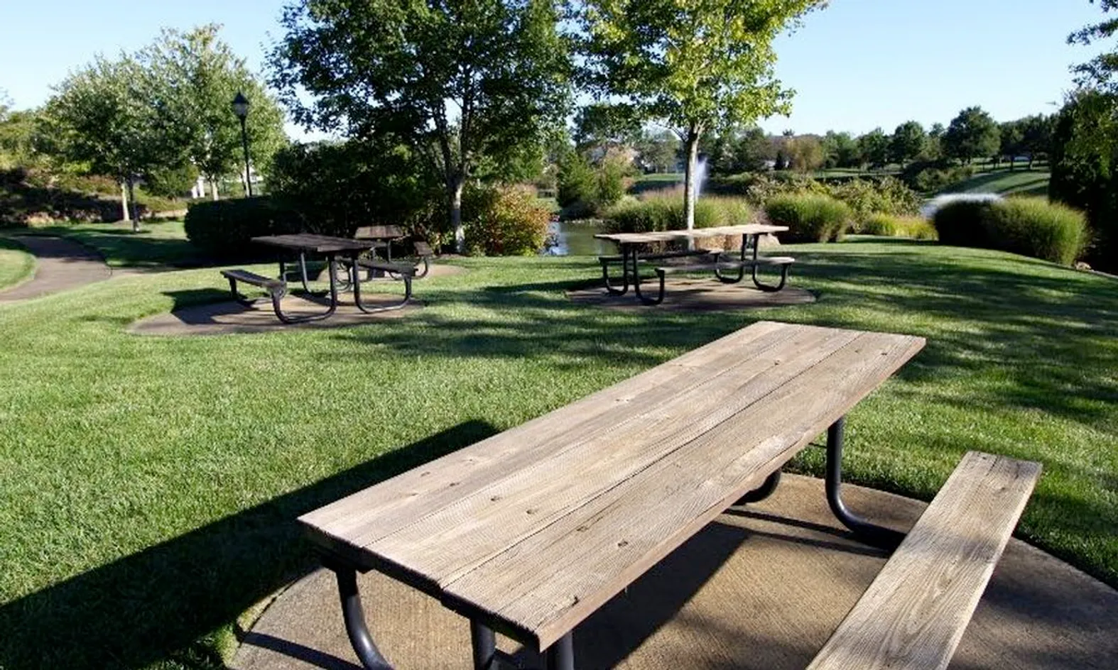 Picnic Area