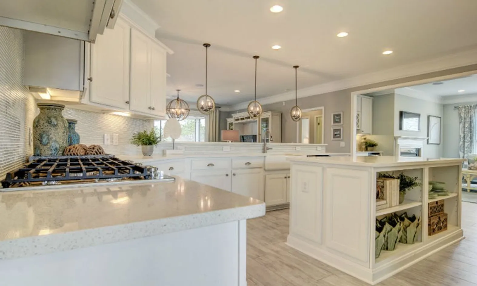 Luxurious Kitchens