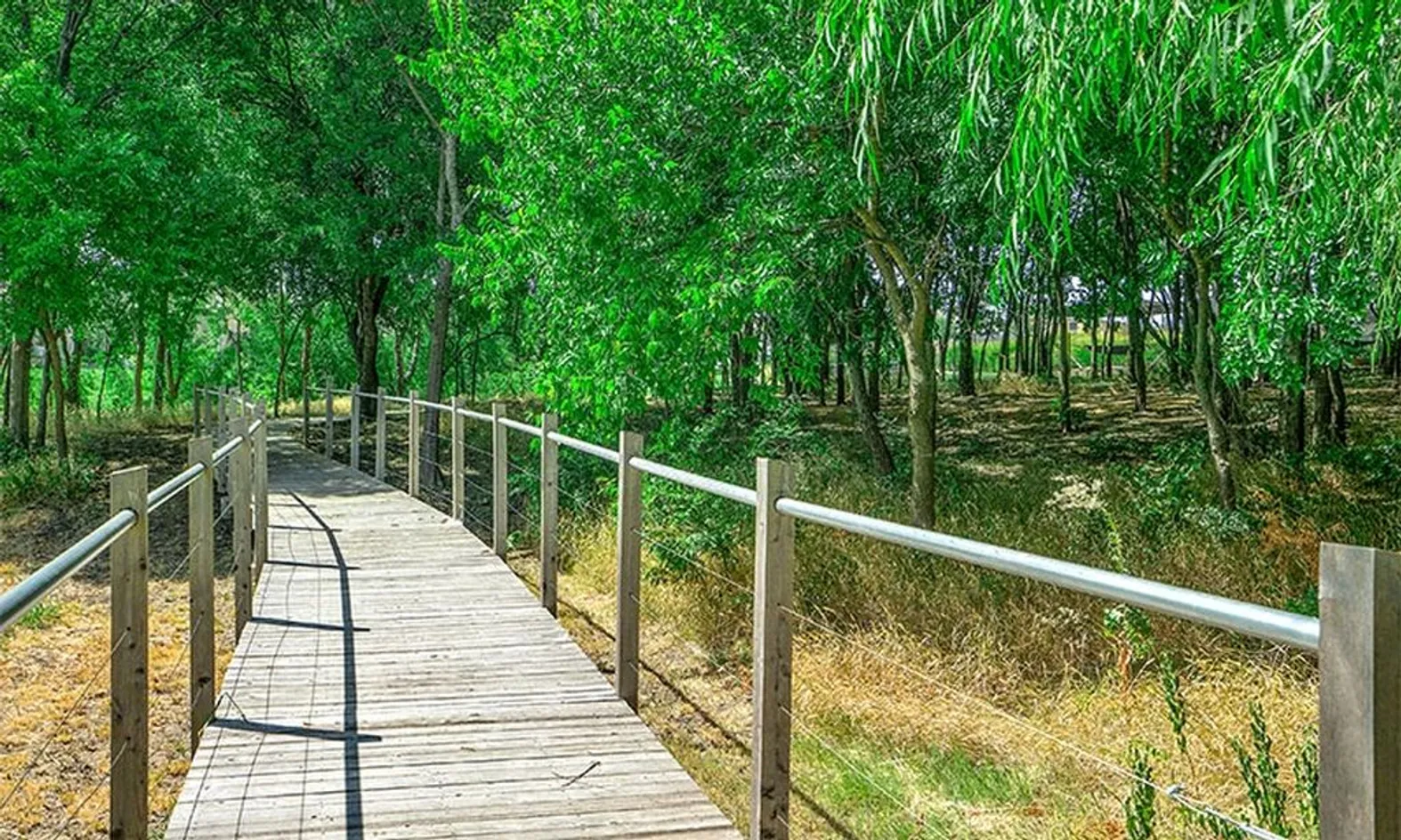 Scenic Paths