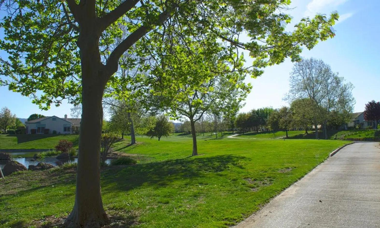 Parks & Natural Space