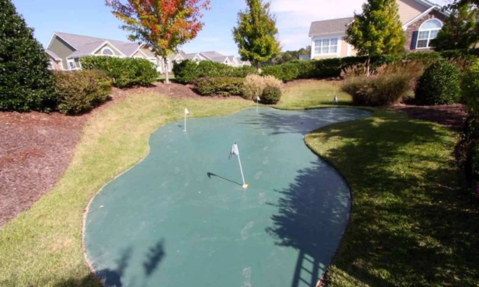 Golf Putting Area