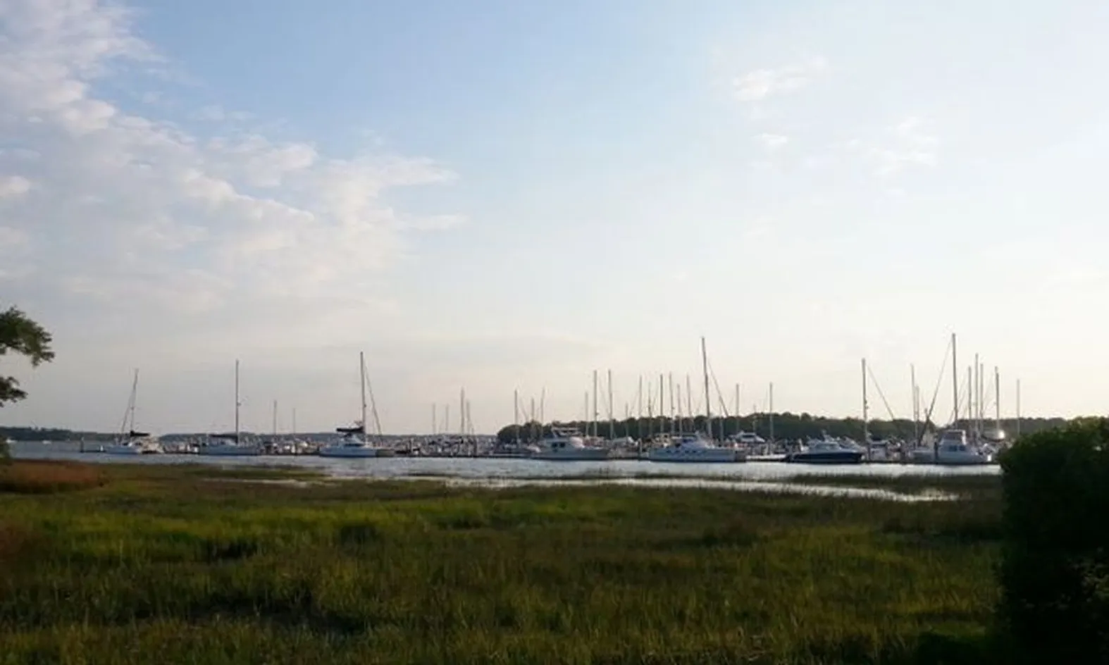Marina
