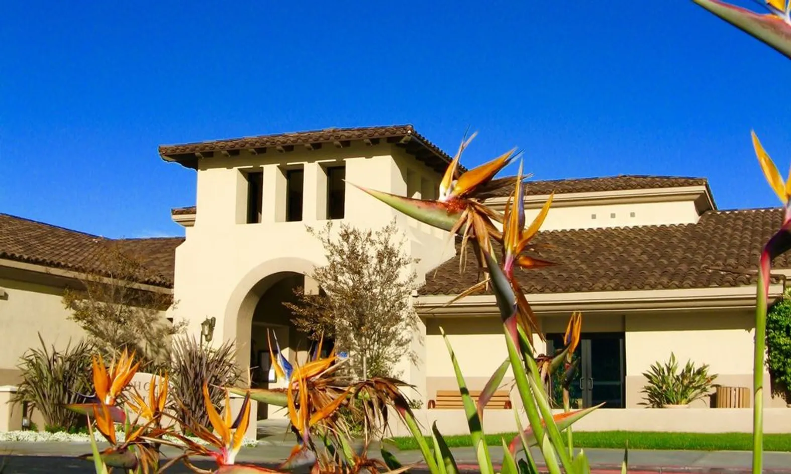 Clubhouse Six