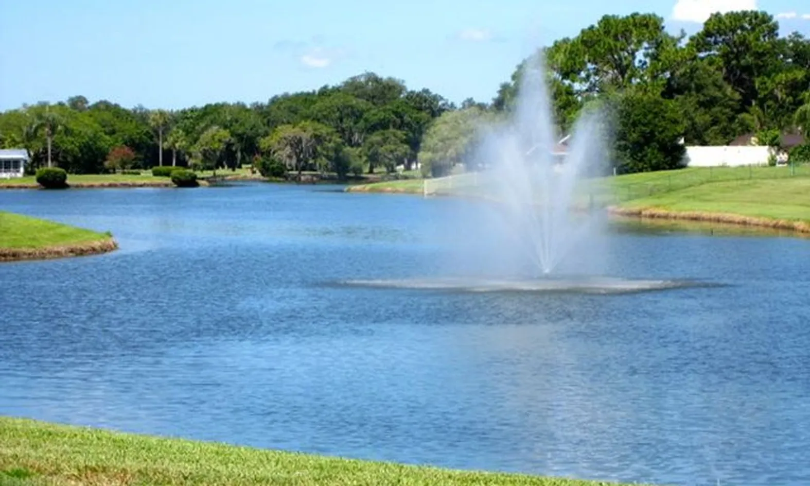 Scenic Ponds
