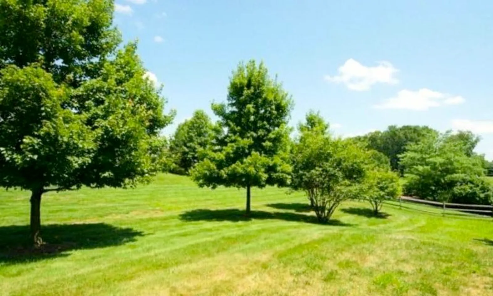 Parks & Natural Space