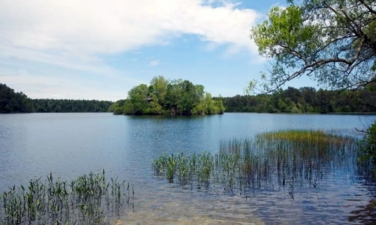77-Acre Great Island Pond